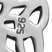 PN529 12.4 x 14.7 02.jpg